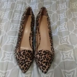 Lauren Conrad Heels